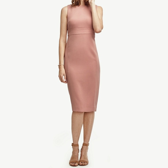 ann taylor plus size dresses